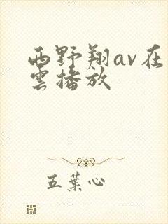 西野翔av在线云播放