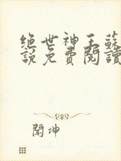 绝世神王苏莫小说免费阅读