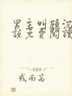 男主叫顾沉的小说免费阅读封面