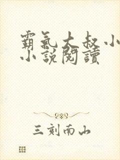 霸气大叔小辣妻小说阅读封面