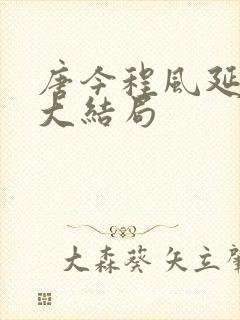 唐今程风延小说大结局封面