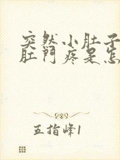 突然小肚子连着肛门疼是怎么回事封面