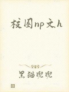 校园np文h封面