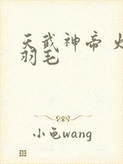 天武神帝 火焰羽毛封面