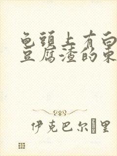 龟头上有白色的豆腐渣的东西封面