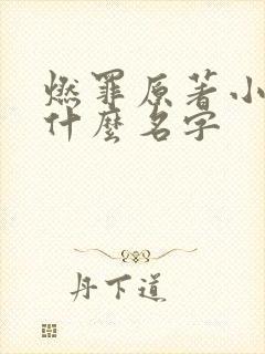 燃罪原著小说叫什么名字