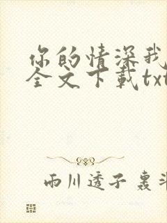 你的情深我不配全文下载txt下载