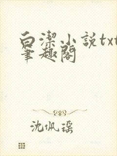 白洁小说txt笔趣阁