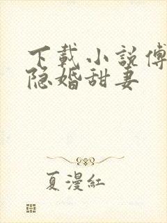 下载小说傅少的隐婚甜妻