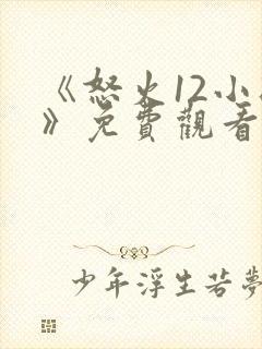 《怒火12小时》免费观看完整版