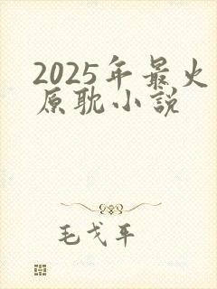 2025年最火原耽小说封面