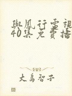 与凤行电视剧全40集免费播放