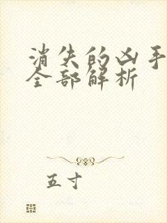 消失的凶手剧情全部解析封面