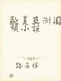 欧美亚洲图片视频小说封面