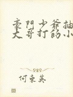 豪门少爷抽烟被大哥打的小说