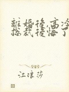 离婚后,高冷女总裁后悔了小说