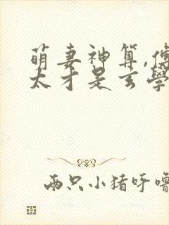 萌妻神算,傅太太才是玄学大佬