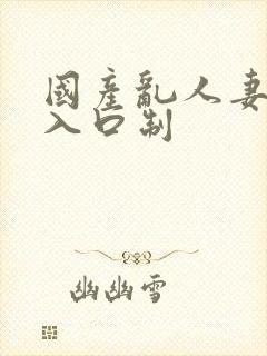 国产乱人妻精品入口制