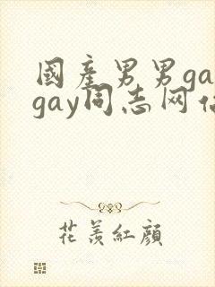 国产男男gaygay同志网站