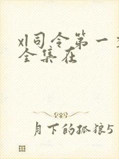 xl司令第一季全集在