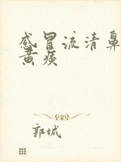 感冒流清鼻涕咳黄痰