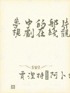 梦中的那片海电视剧在线观看免费