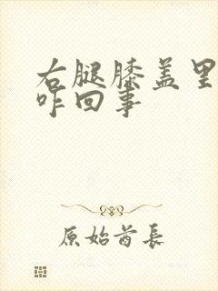 右腿膝盖里侧疼咋回事