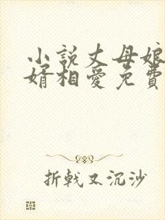 小说丈母娘和女婿相爱免费阅读