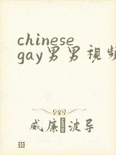 chinesegay男男视频