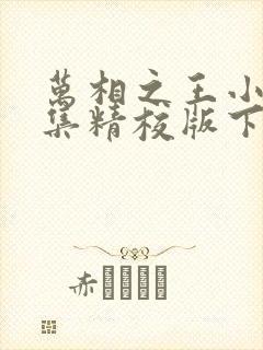 万相之王小说全集精校版下载