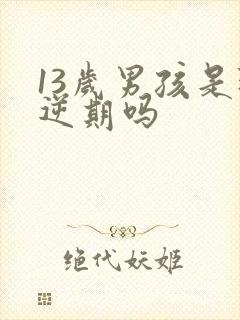 13岁男孩是叛逆期吗