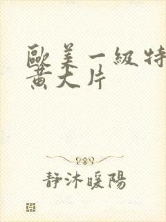 欧美一级特黄特黄大片