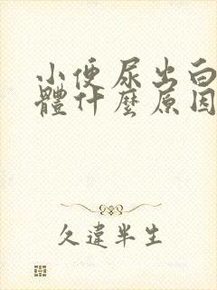 小便尿出白色液体什么原因