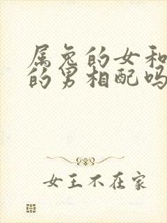 属兔的女和属龙的男相配吗