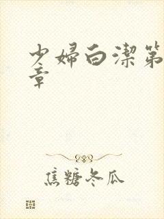 少妇白洁第十三章