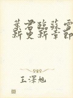 叶君临苏雪儿最新更新章节列表