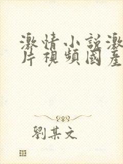 激情小说激情图片视频国产封面