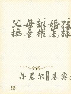 父母离婚孩子的抚养权怎样判给父亲