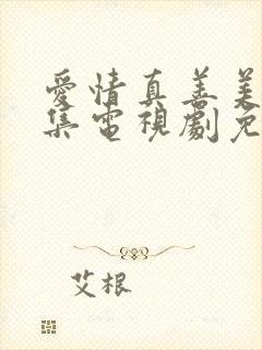 爱情真善美80集电视剧免费观看