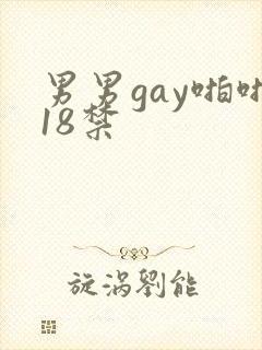 男男gay啪啪18禁封面