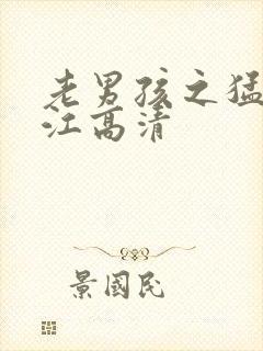 老男孩之猛龙过江高清