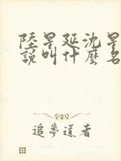 陆星延沈星若小说叫什么名字