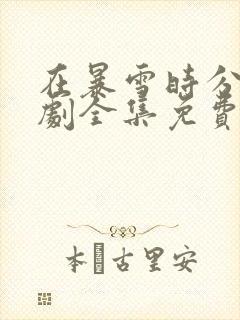 在暴雪时分电视剧全集免费观看