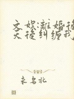 文娱:离婚后,天后纠缠我在线全本免费阅读