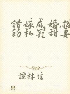 错嫁成婚,总裁的私宠甜妻