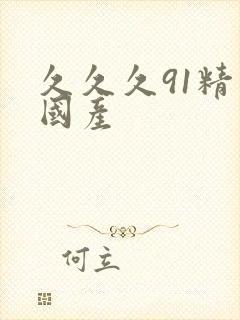 久久久91精品国产封面