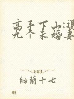 高手下山:退婚九个未婚妻