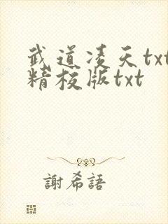 武道凌天txt精校版txt