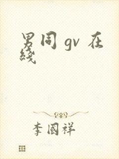 男同 gv 在线封面