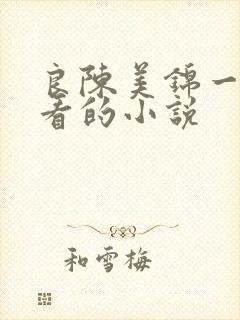 良陈美锦一样好看的小说